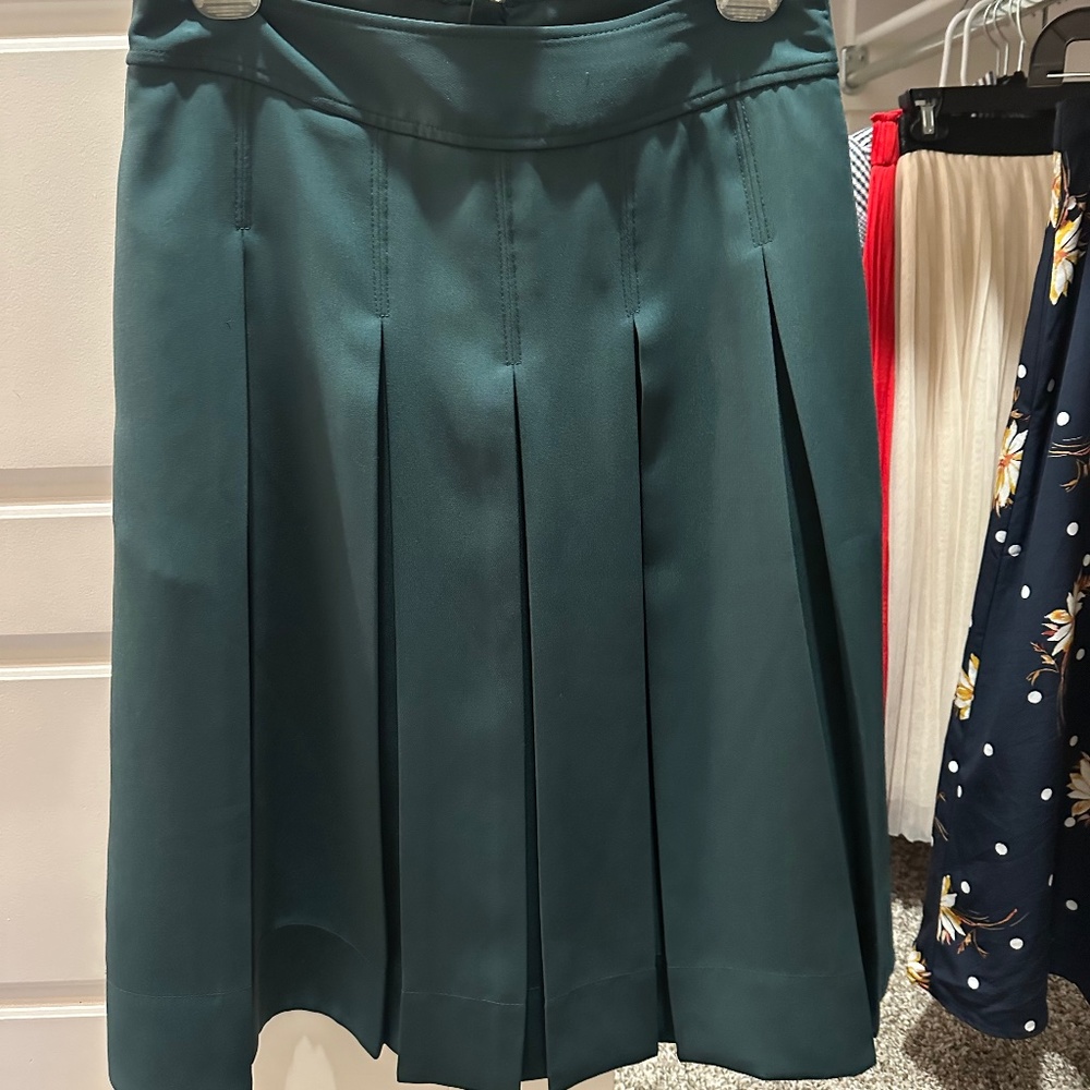 Pleated Skirt